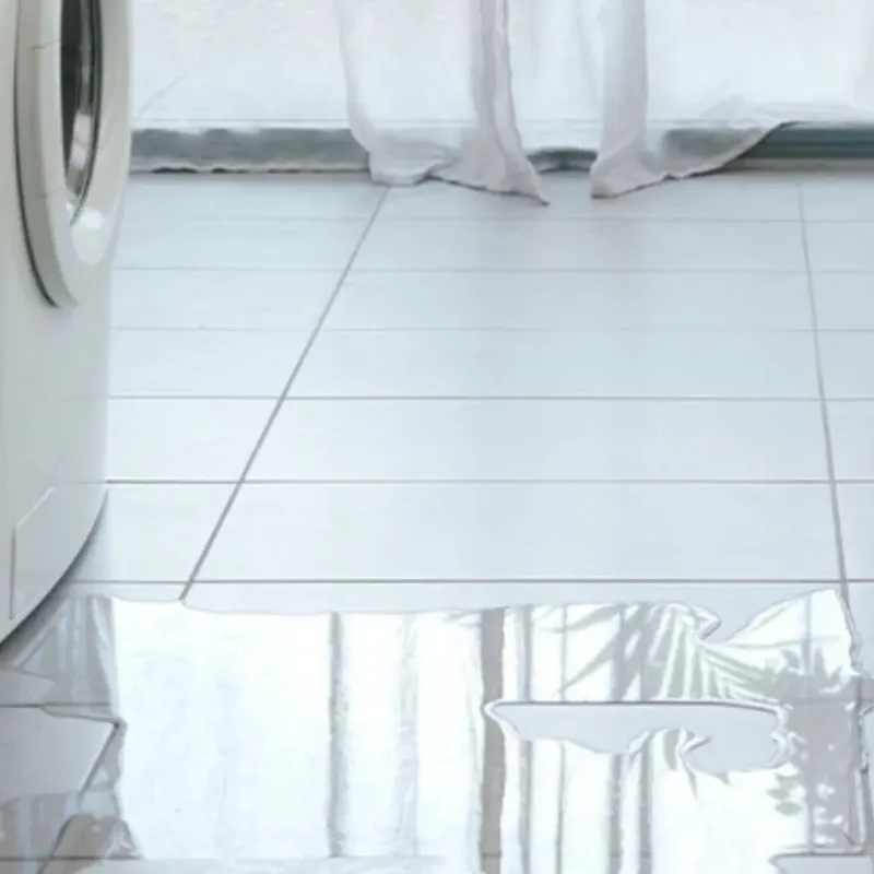 Appliance Leak Cleanup in Supreme, LA