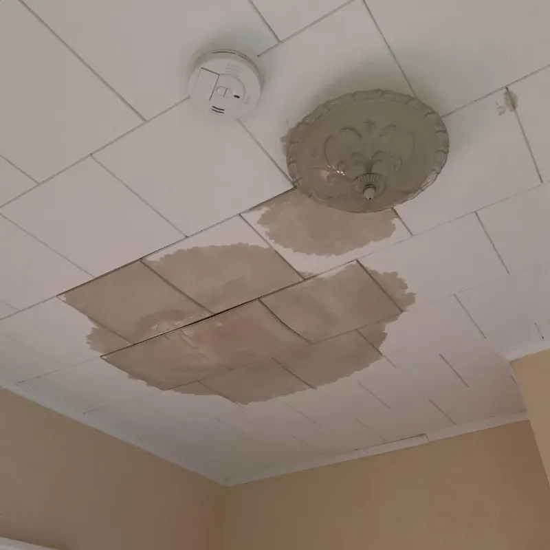 Ceiling Water Damage Repair in Supreme, LA